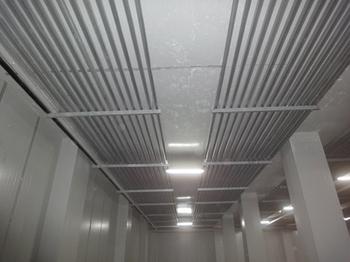-35℃速凍榴蓮冷庫造價，榴蓮冷庫冷凍設備