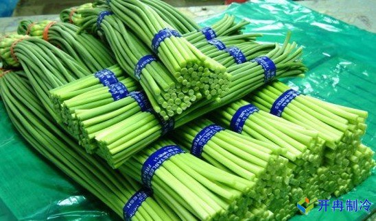 3000噸蒜薹冷庫前期規(guī)劃，冷庫造價預(yù)算多少錢